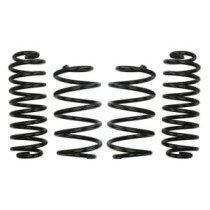 Coborarea arcului EIBACH