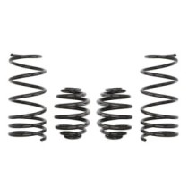 Coborarea arcului EIBACH