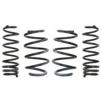 Coborarea arcului EIBACH