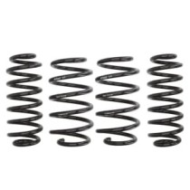 Coborarea arcului EIBACH