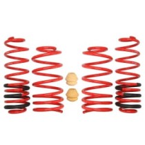 Coborarea arcului EIBACH