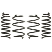 Coborarea arcului EIBACH