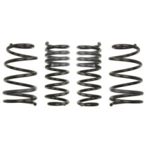 Coborarea arcului EIBACH