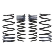 Coborarea arcului EIBACH