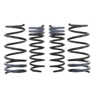 Coborarea arcului EIBACH