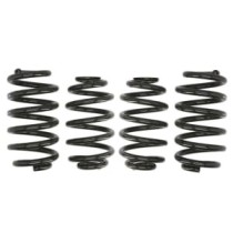 Coborarea arcului EIBACH