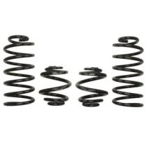 Coborarea arcului EIBACH