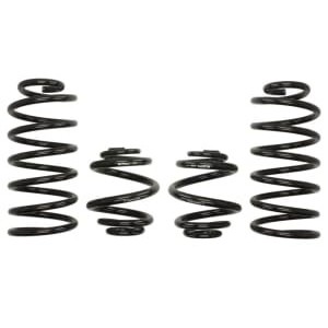 Coborarea arcului EIBACH