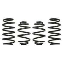 Coborarea arcului EIBACH