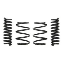 Coborarea arcului EIBACH