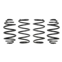 Coborarea arcului EIBACH