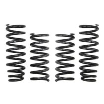 Coborarea arcului EIBACH