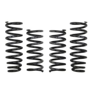 Coborarea arcului EIBACH