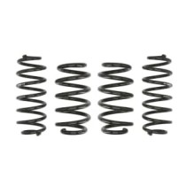 Coborarea arcului EIBACH