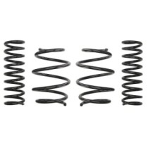 Coborarea arcului EIBACH