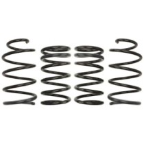 Coborarea arcului EIBACH