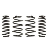 Coborarea arcului EIBACH