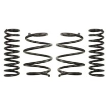 Coborarea arcului EIBACH