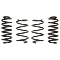 Coborarea arcului EIBACH