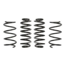 Coborarea arcului EIBACH