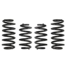 Coborarea arcului EIBACH