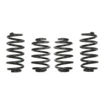 Coborarea arcului EIBACH