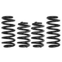 Coborarea arcului EIBACH