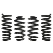 Coborarea arcului EIBACH