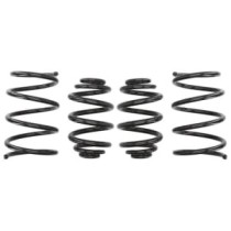 Coborarea arcului EIBACH