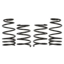 Coborarea arcului EIBACH