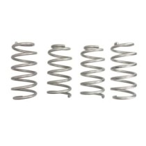 Ridicare arcului EIBACH