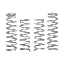 Ridicare arcului EIBACH