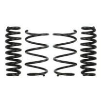 Coborarea arcului EIBACH