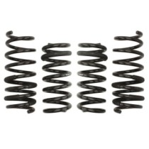 Coborarea arcului EIBACH