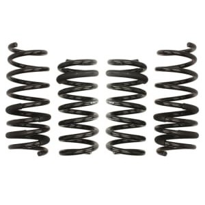 Coborarea arcului EIBACH