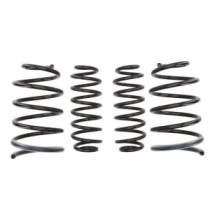 Coborarea arcului EIBACH