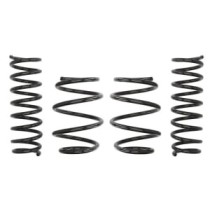 Coborarea arcului EIBACH