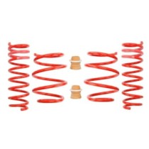 Coborarea arcului EIBACH