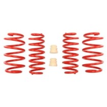 Coborarea arcului EIBACH