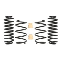 Coborarea arcului EIBACH