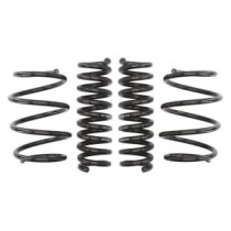 Coborarea arcului EIBACH