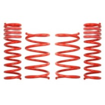 Coborarea arcului EIBACH