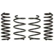 Coborarea arcului EIBACH