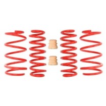 Coborarea arcului EIBACH