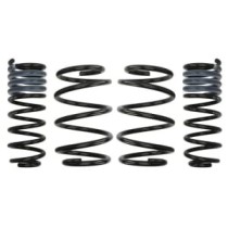 Coborarea arcului EIBACH