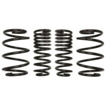 Coborarea arcului EIBACH