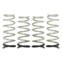 Ridicare arcului EIBACH