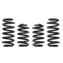 Coborarea arcului EIBACH