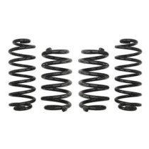 Coborarea arcului EIBACH