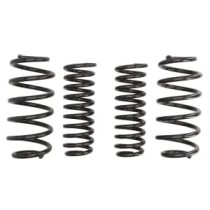 Coborarea arcului EIBACH